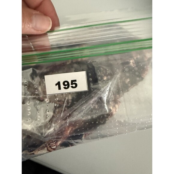 NY&Co Sheer Floral Blouse Medium Front Back Tie Neck  Fall Tones Ruched Sleeves - Picture 15 of 15